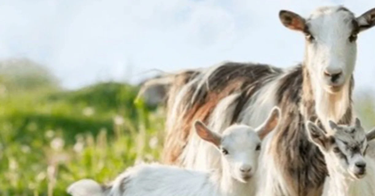 When God’s Timing Doesn’t Make Sense…