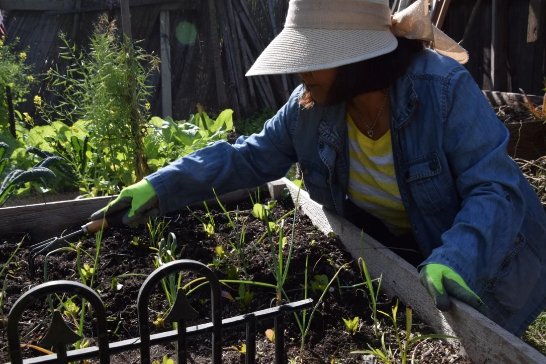 this-garden4.jpg