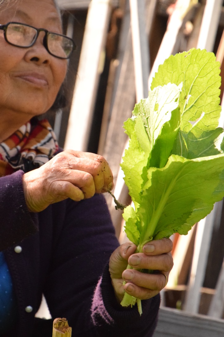 this-garden5.jpg