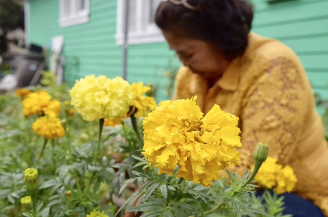 this-garden6.jpg
