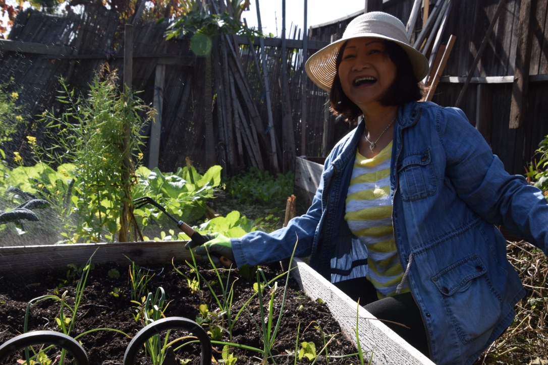 this-gardensmiles.jpg