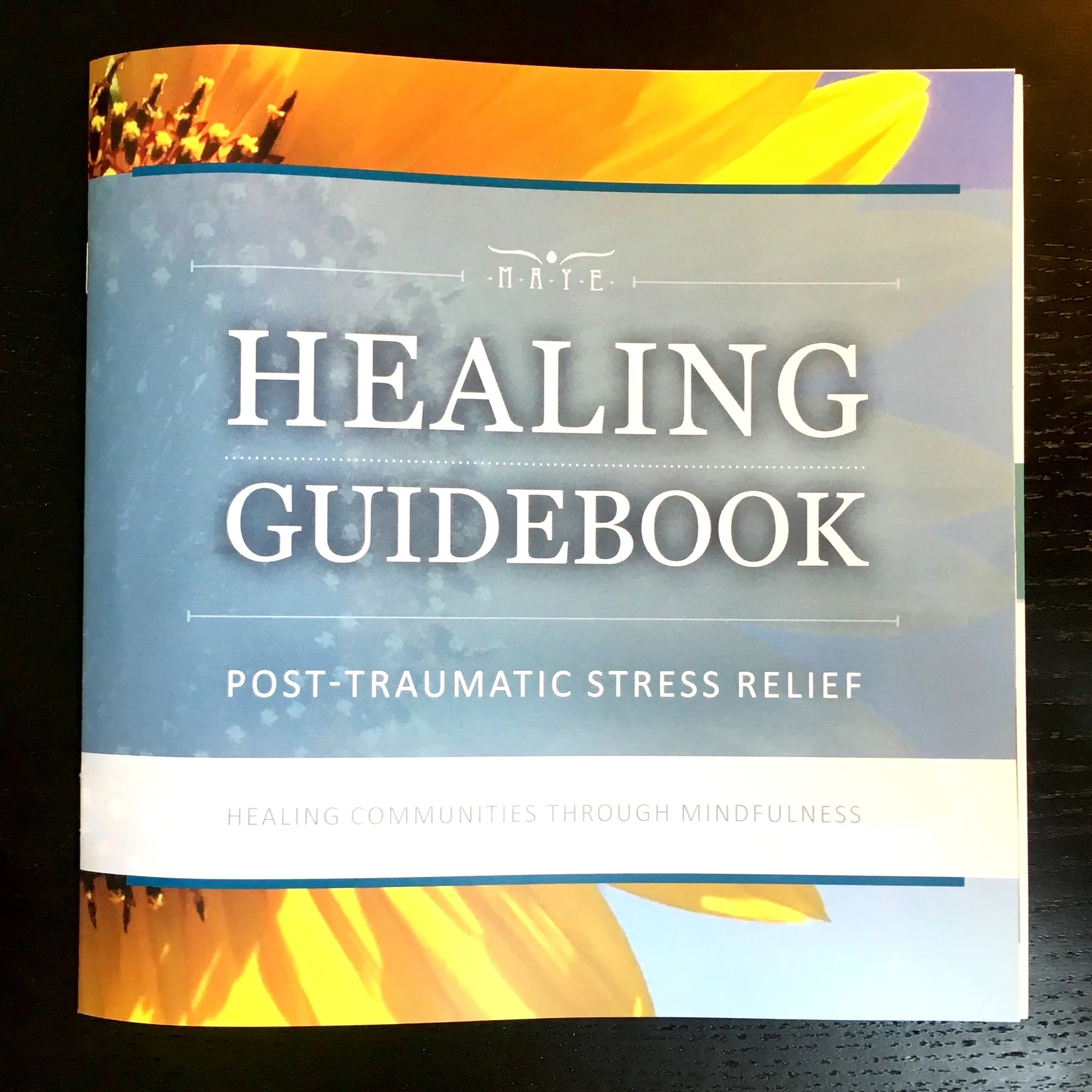 Healing Guidebook PRINTED