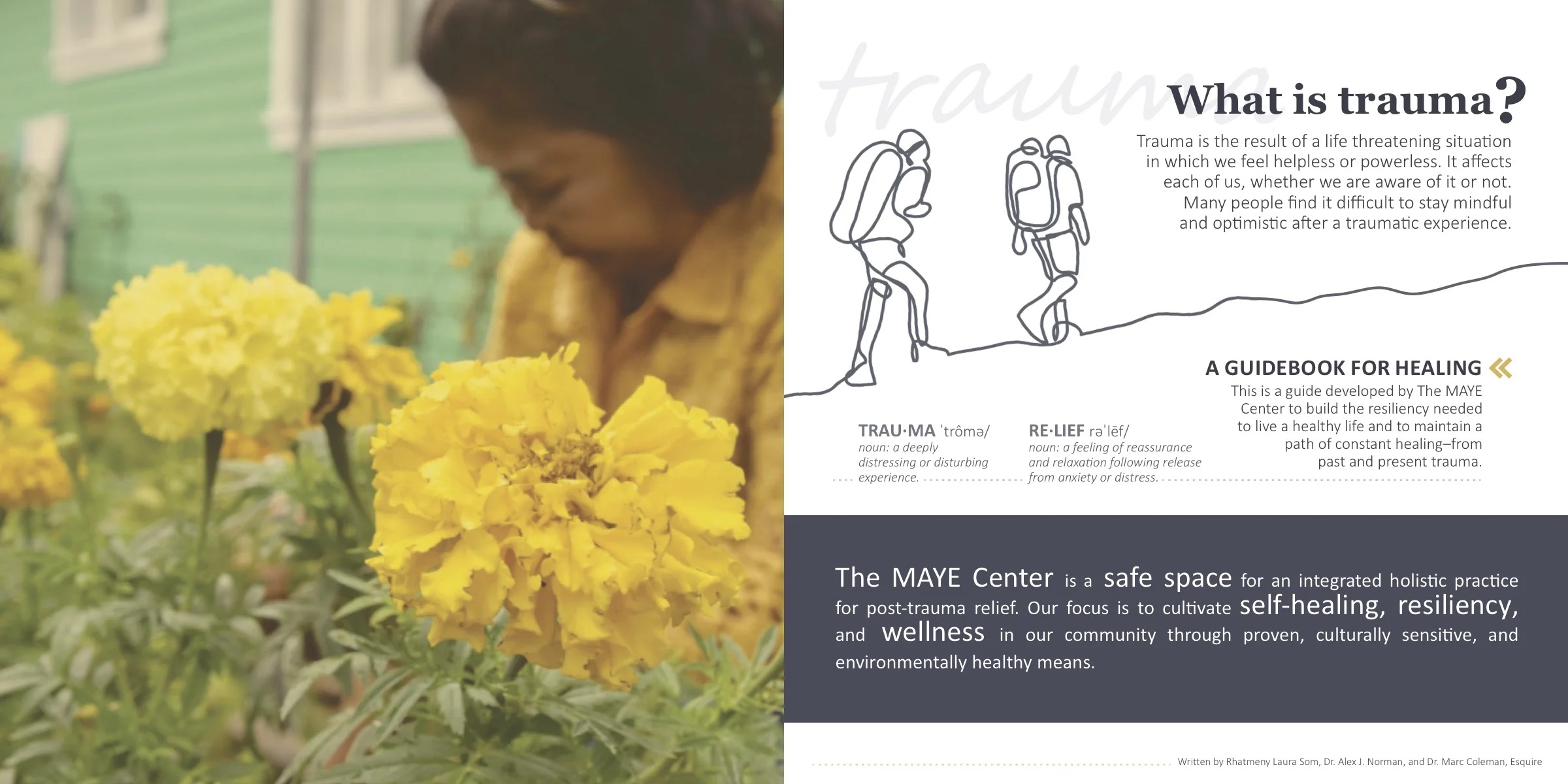 MAYE_Healing-Guidebook-trauma-pg.jpg