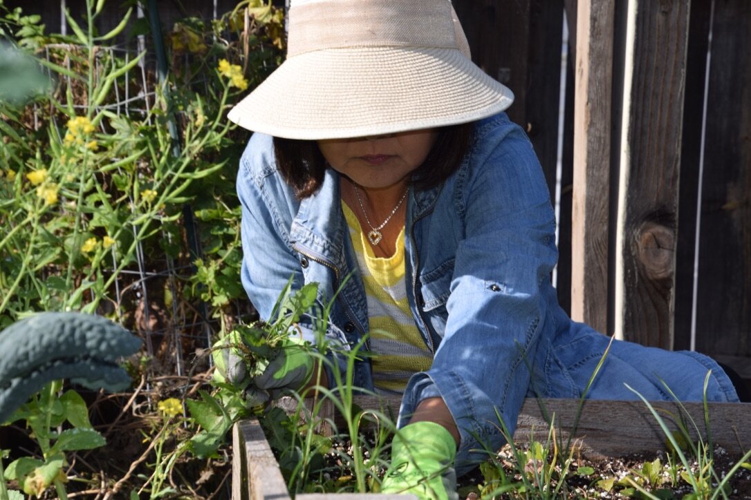 this-garden3.jpg