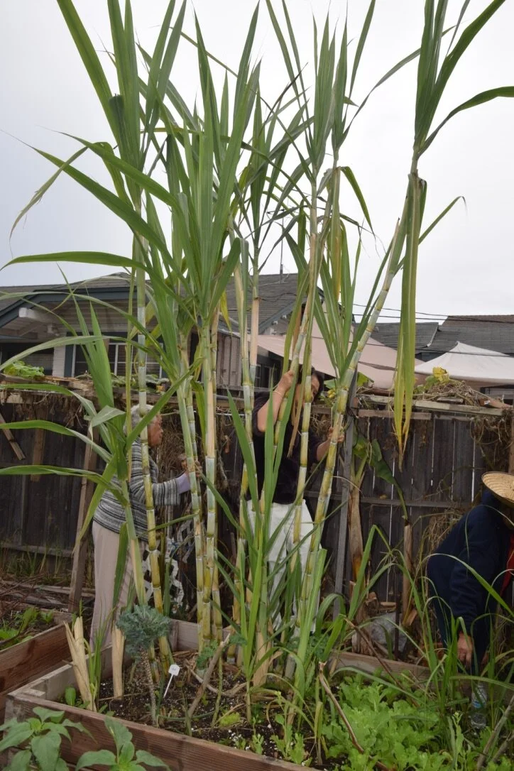 UNADJUSTEDNONRAW_thumb_5eb1.jpg