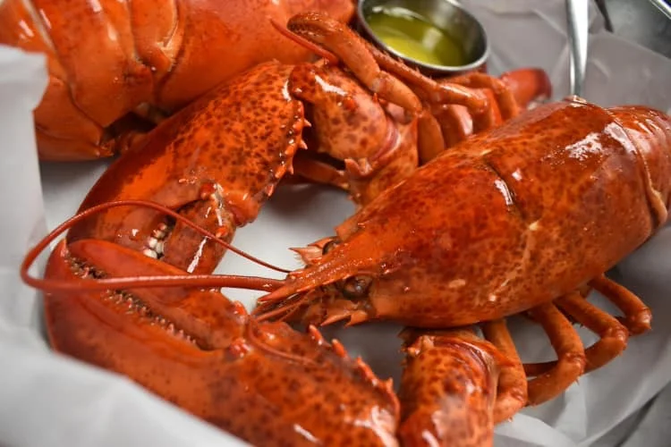 $21 TWIN LOBSTER SPECIAL!!