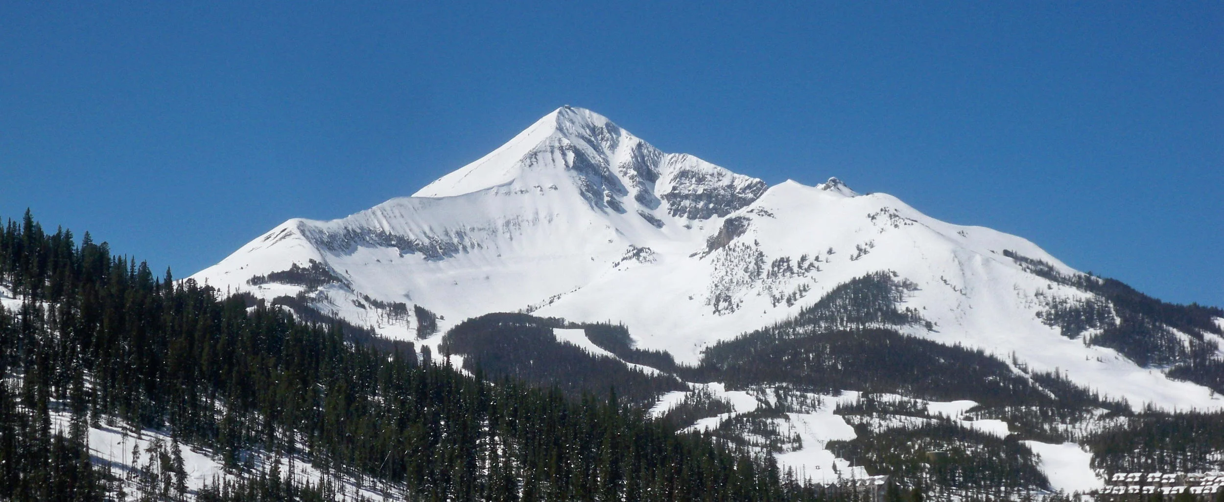 blue bird lone peak.JPG