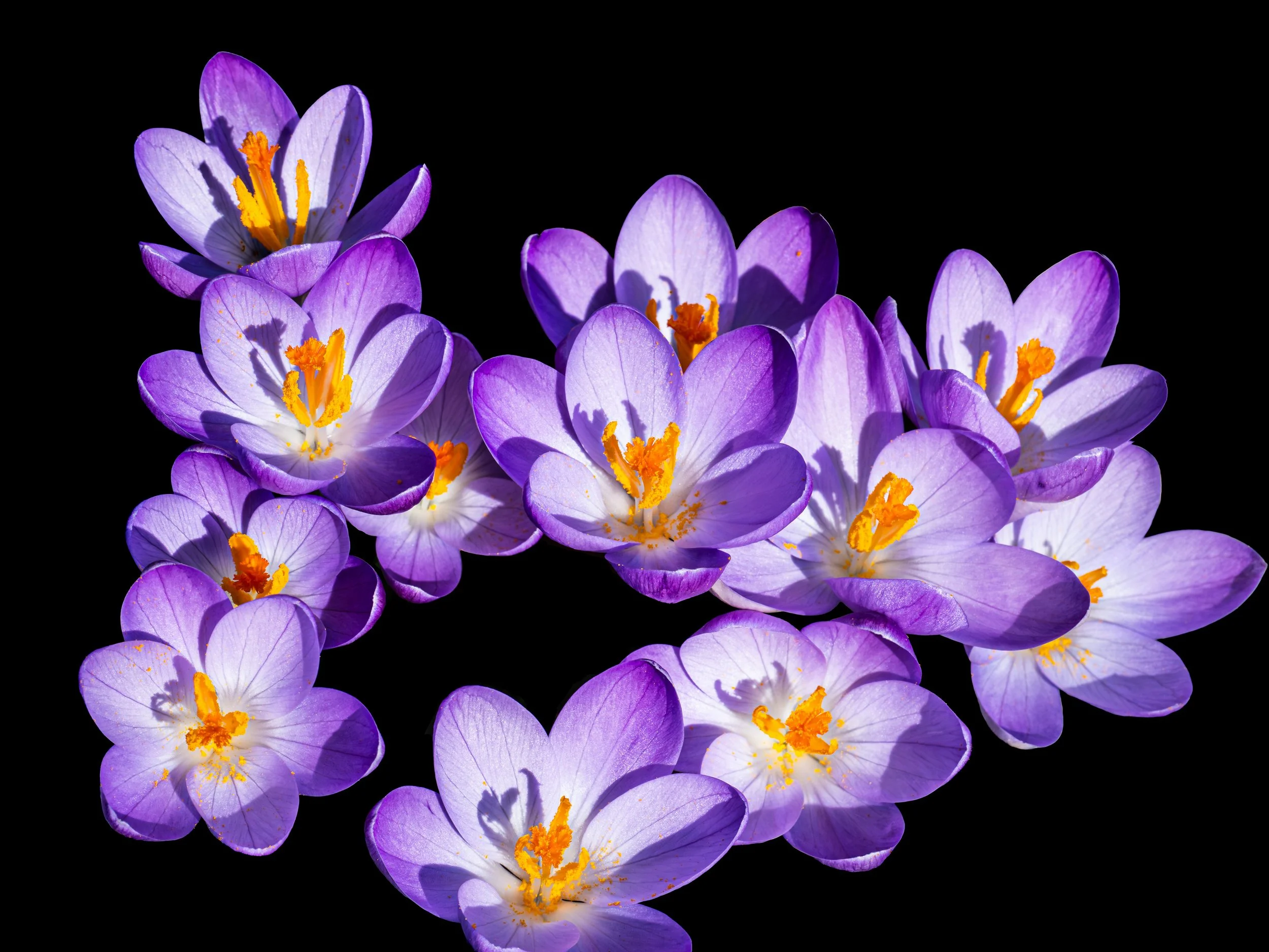 Sebastian Schuster Photographer.jpg