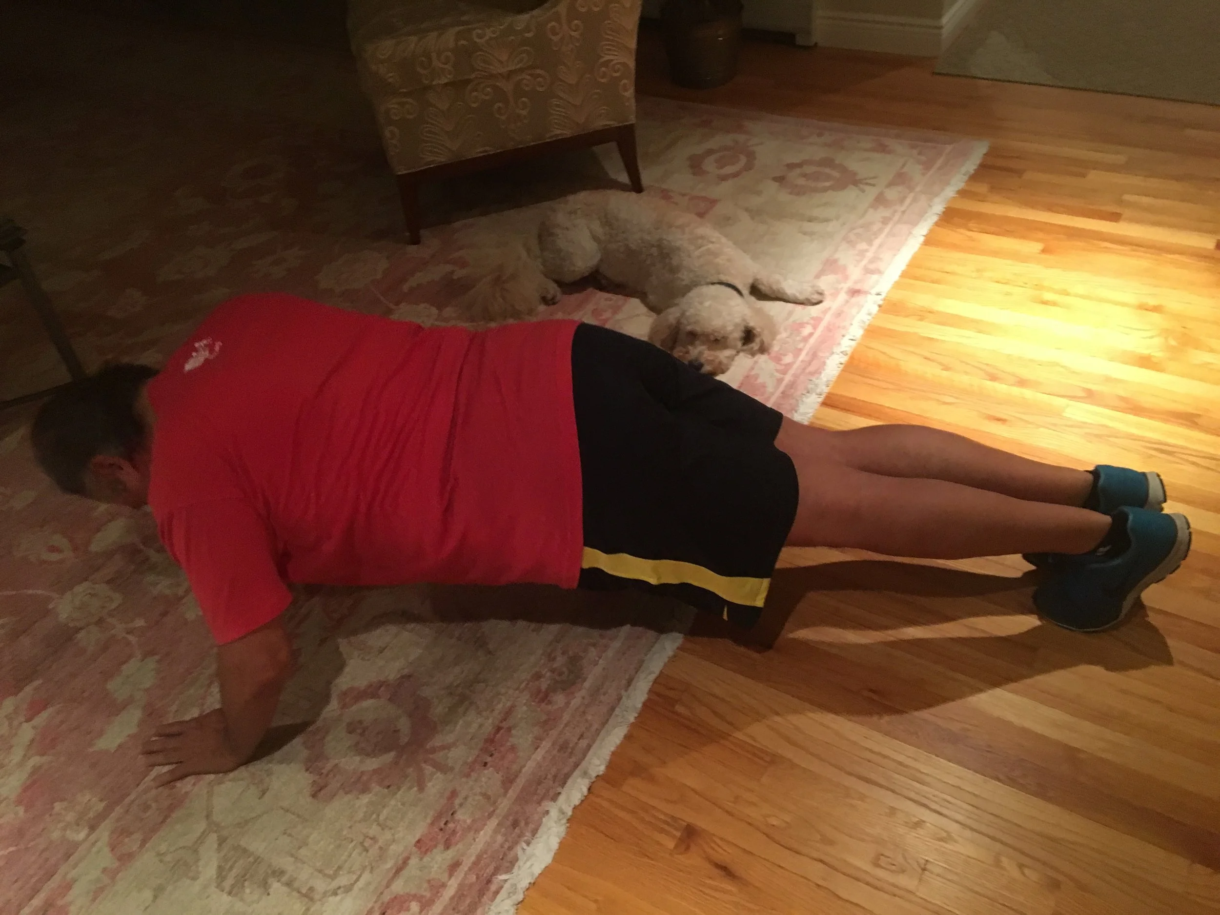 Michael push-up pic.JPG