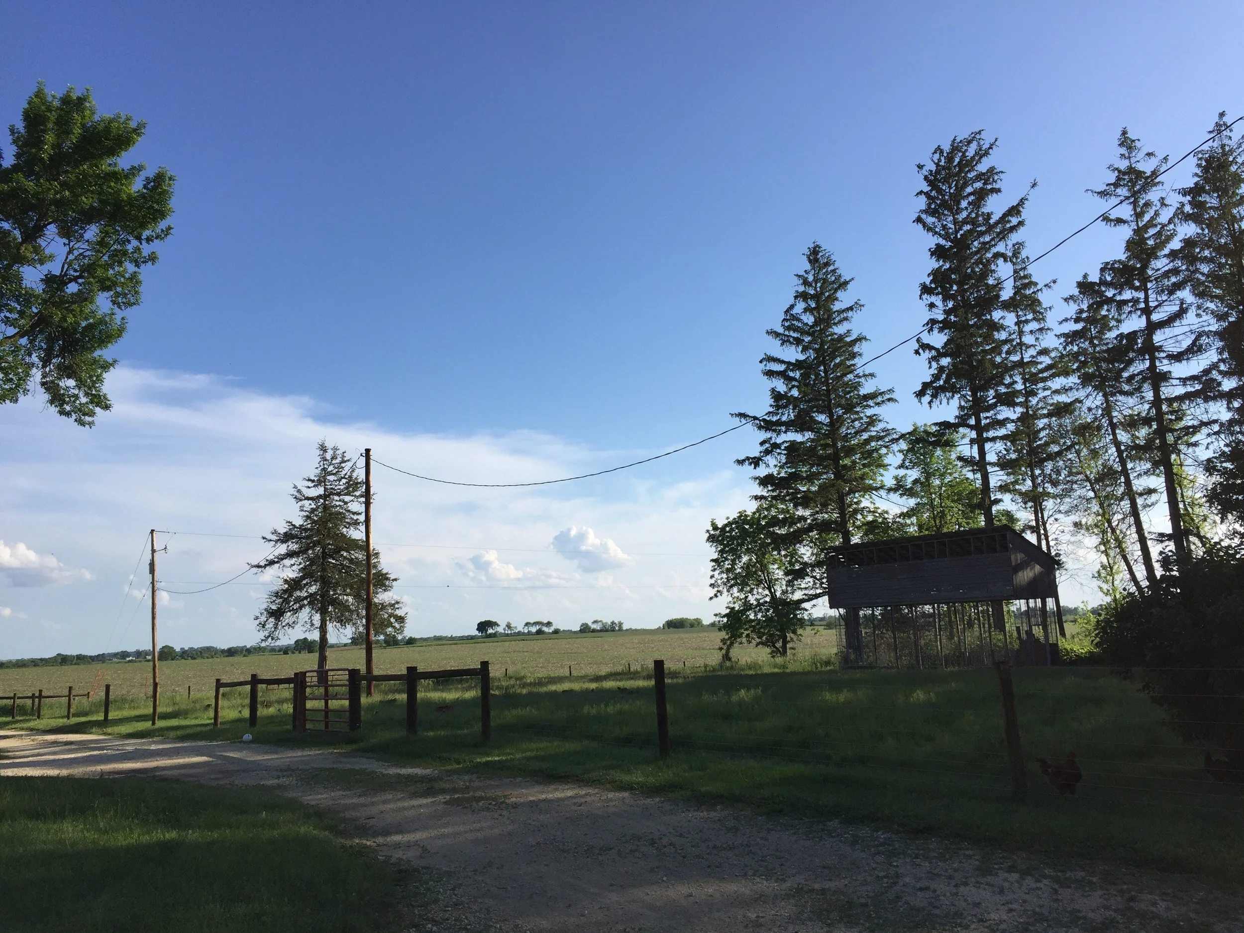 South end of fence.