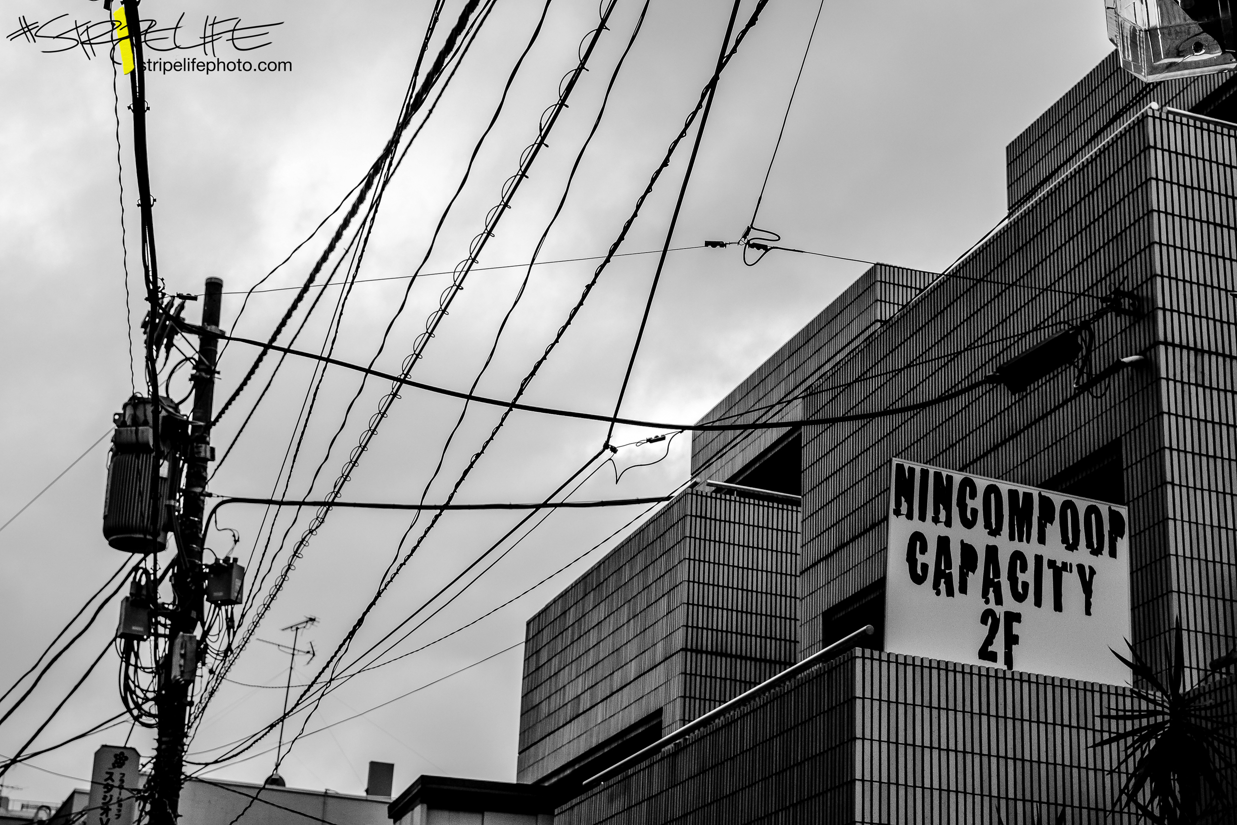 DSC_0725.jpg