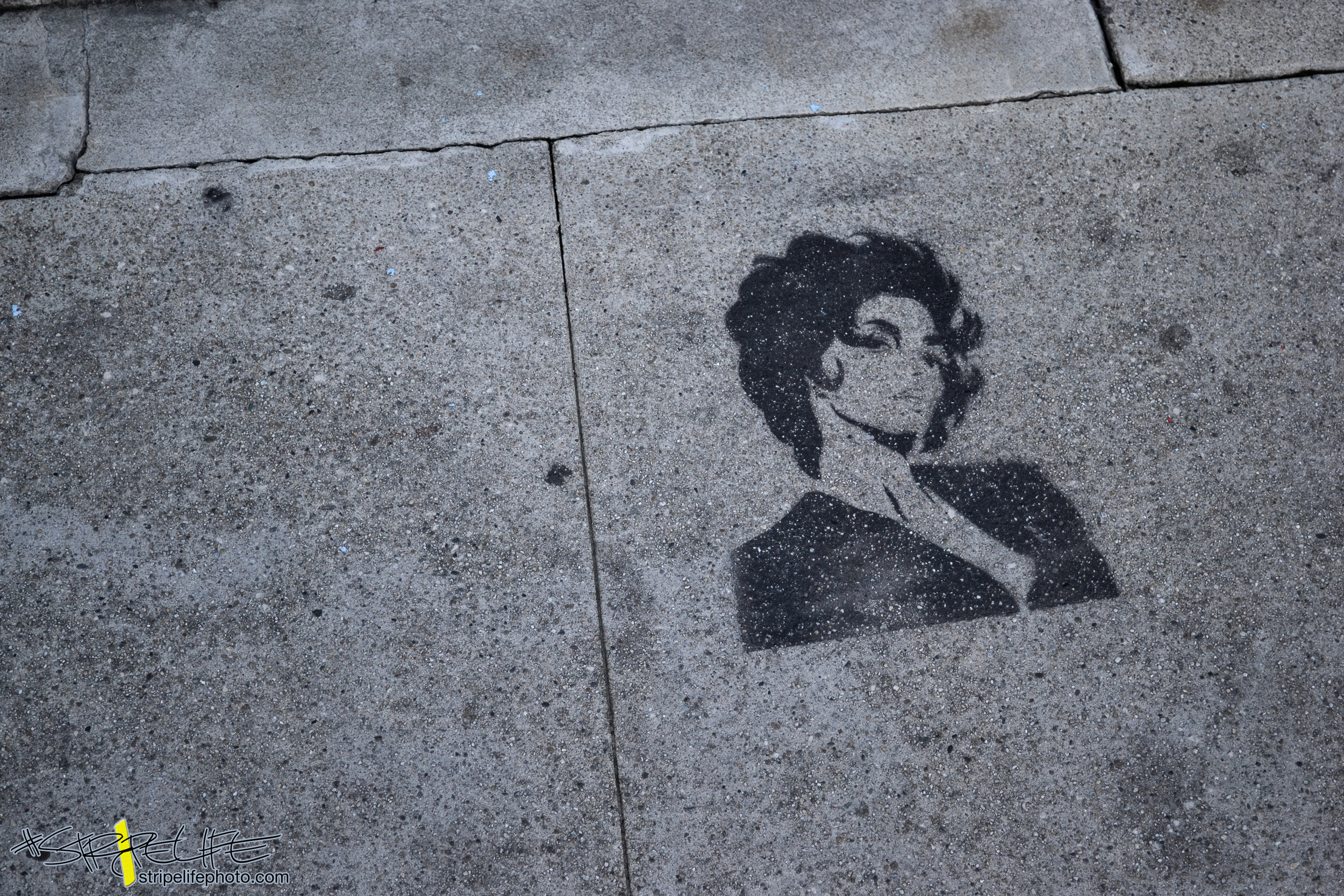 DSC_0344.jpg