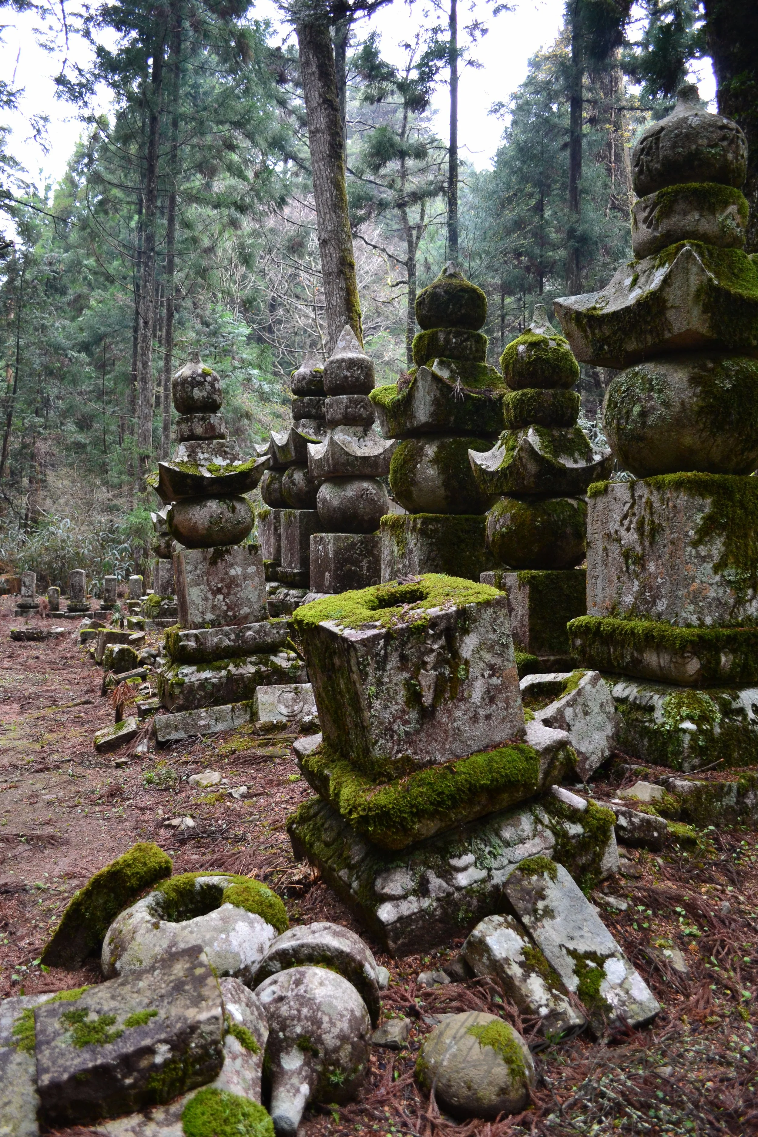 DSC_0920.jpg