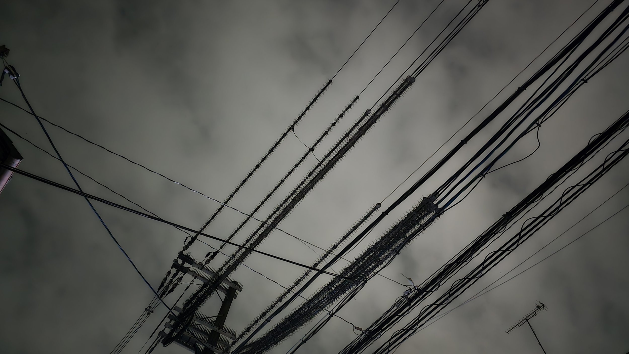54739935403_05eb1f6428_o.jpg