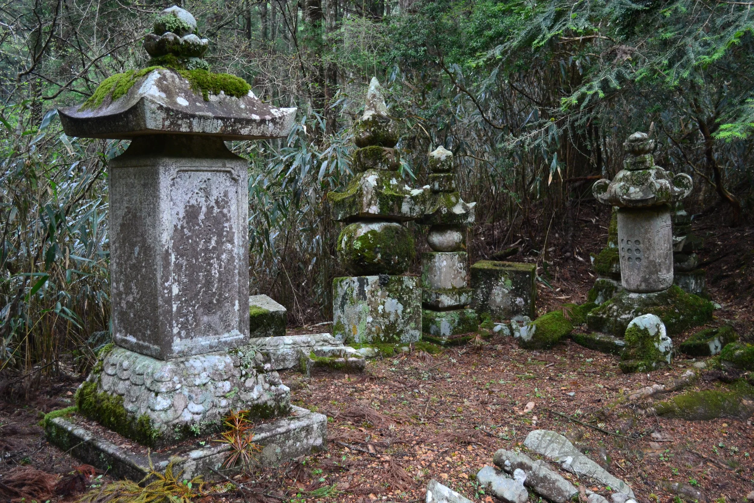 DSC_0930.jpg