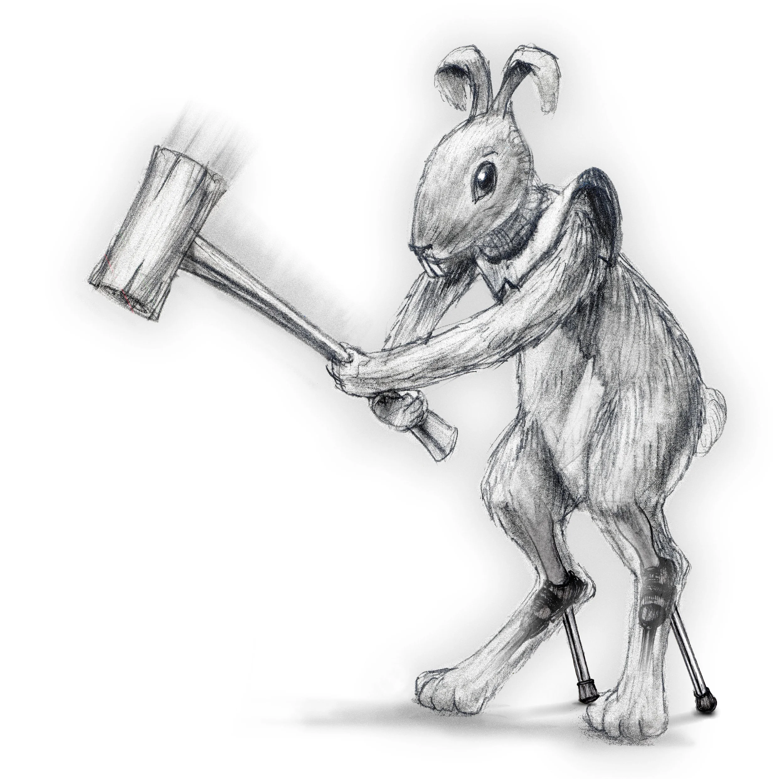 Rabbit-1c.jpg
