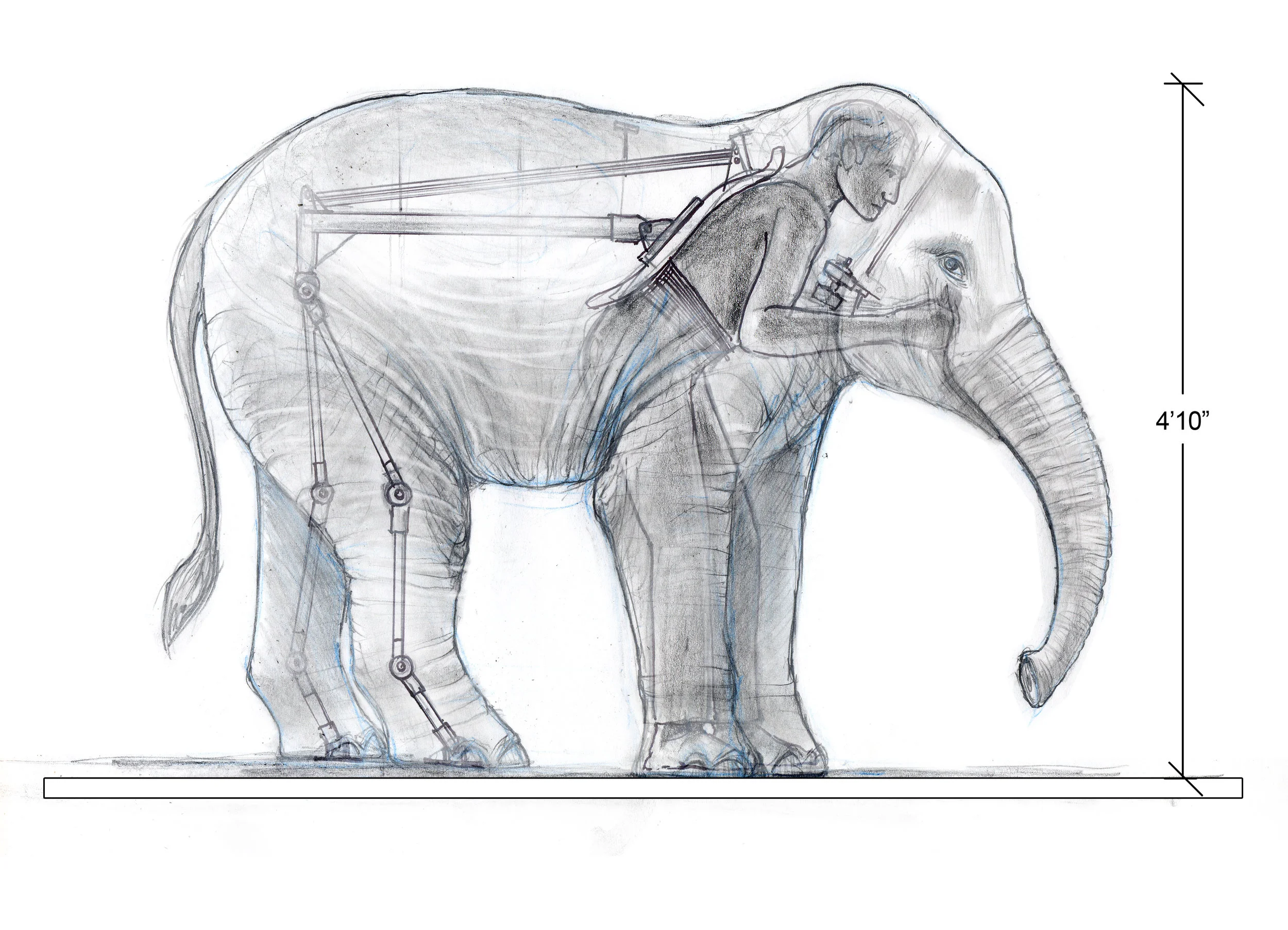 Elephant-side-evelation-puppeteer-b.jpg