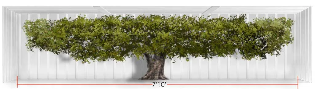 Tree in Trailer - design sketch.jpg