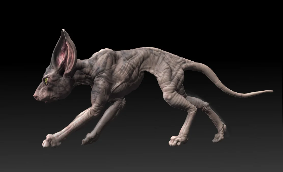 cat-render-sidea.jpg