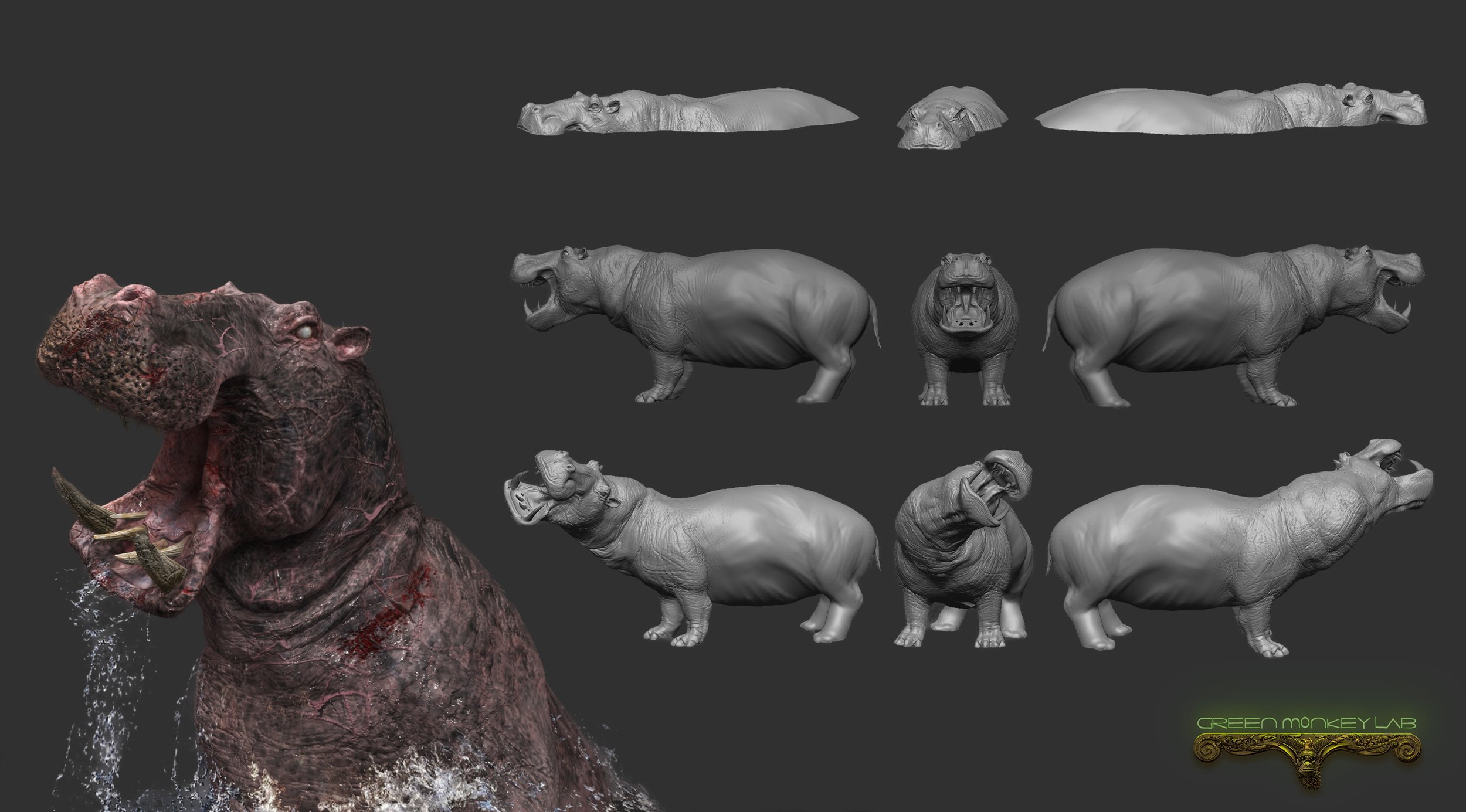 Hippo gallery.jpg