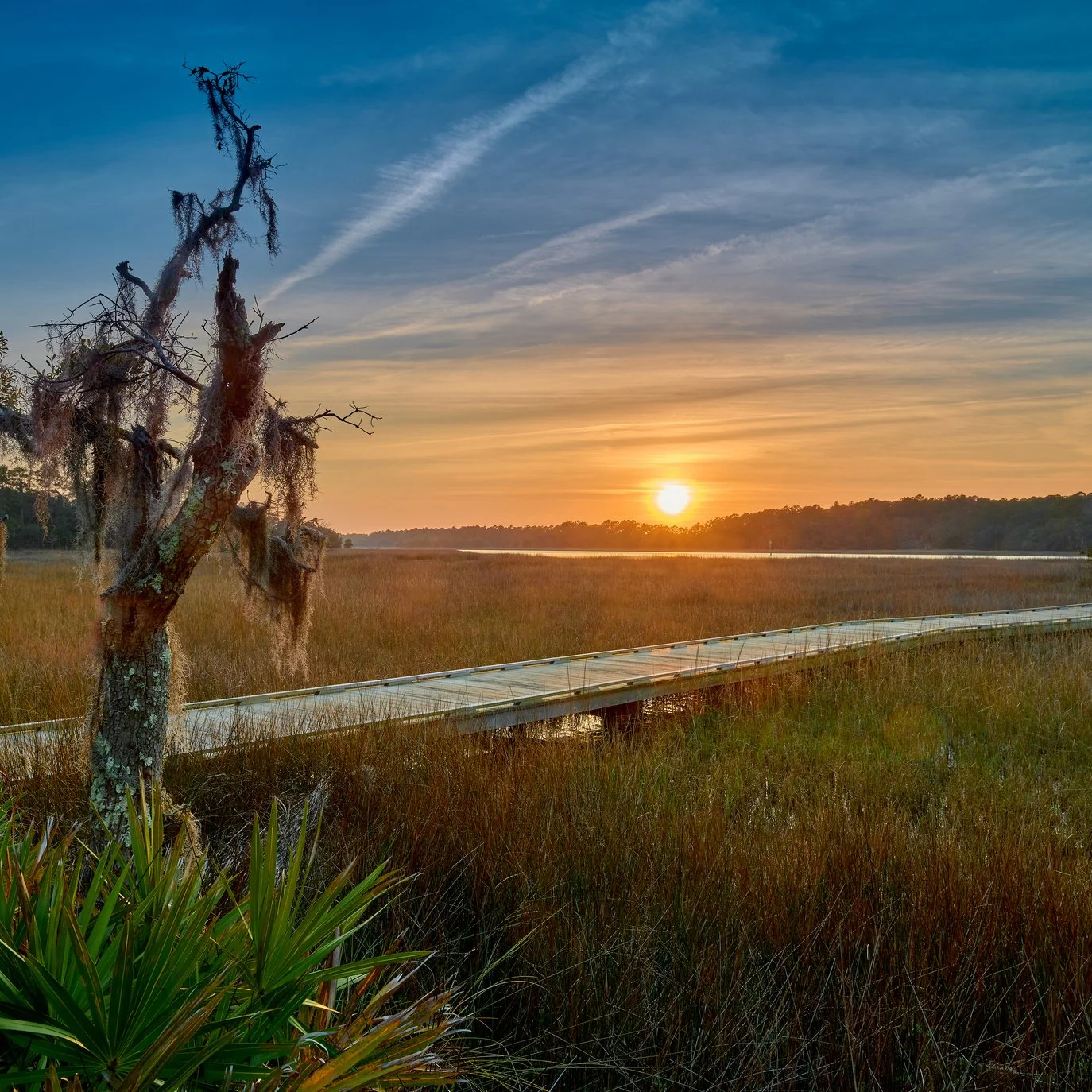 The Magic of Skidaway