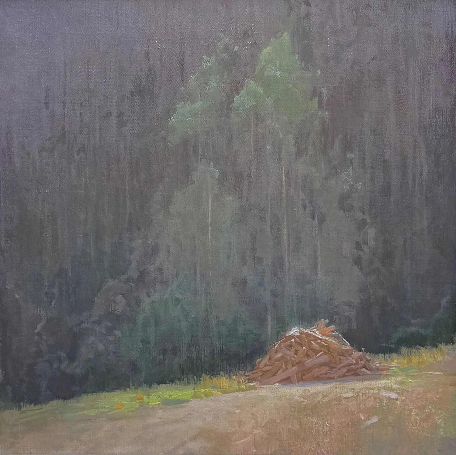 Judges Awards of Merit painting“Provision” by Seth Tummins
