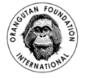 Orangutan Foundation