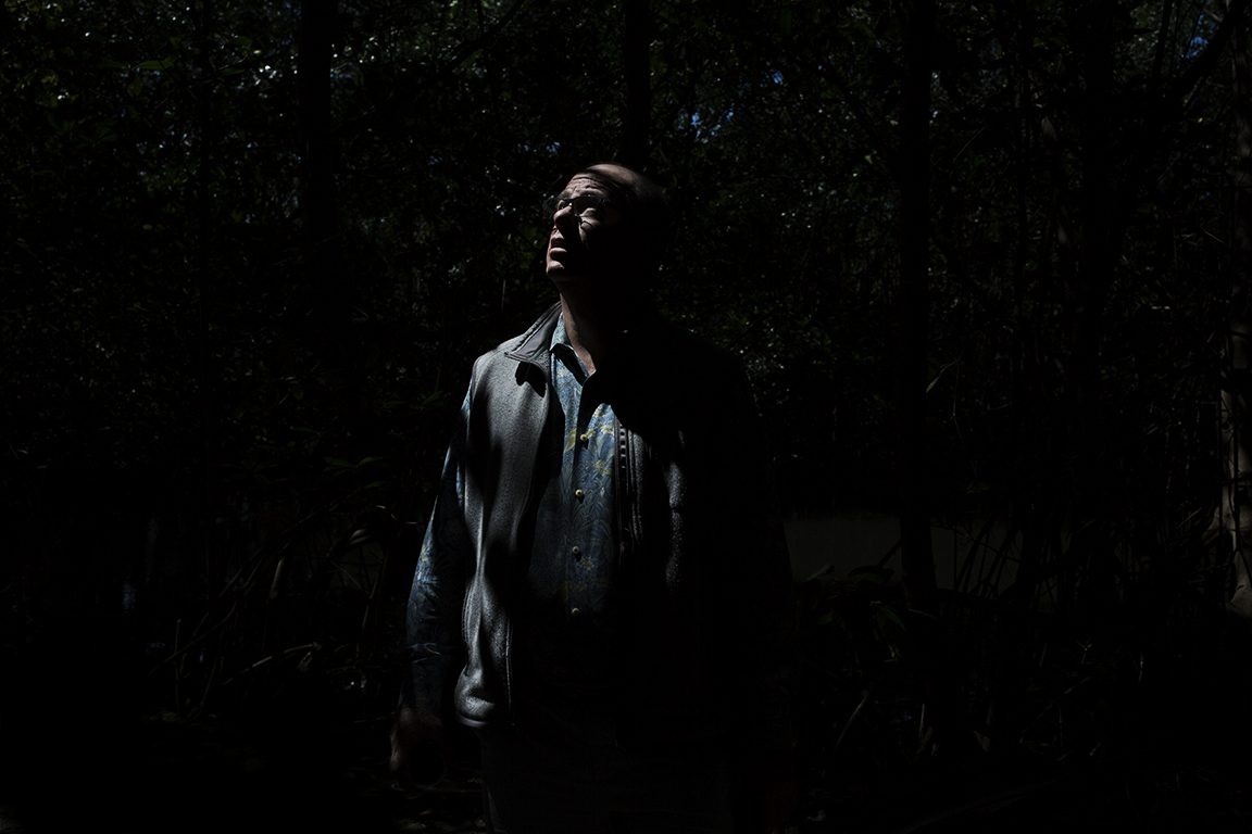 In The Woods