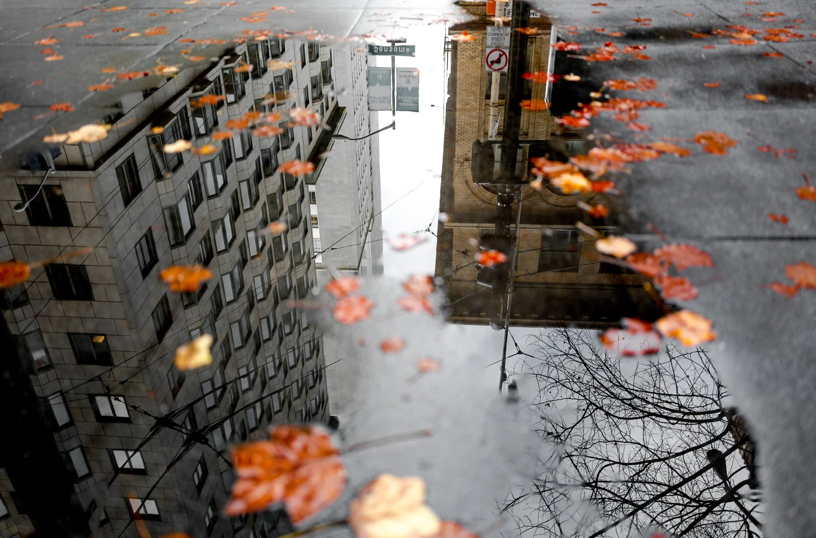 FT_20151222_SF Rain_1076.jpg