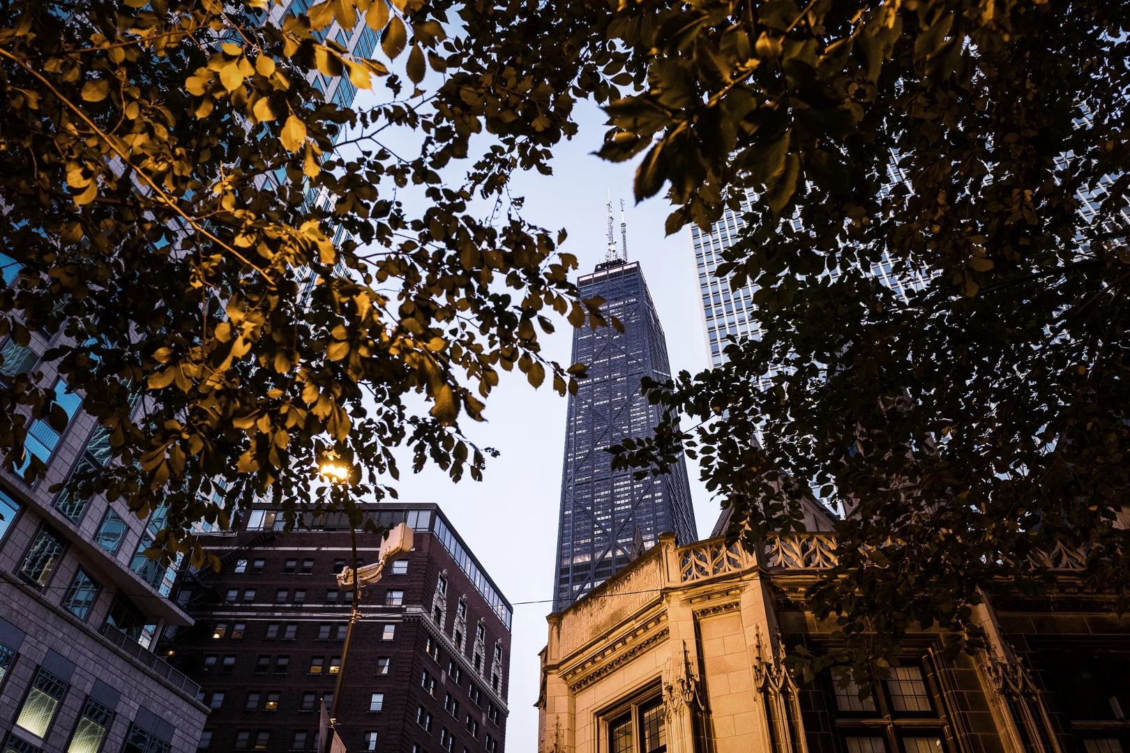FT_20151015_Chicago_Fall_2015_1078-Edit.jpg