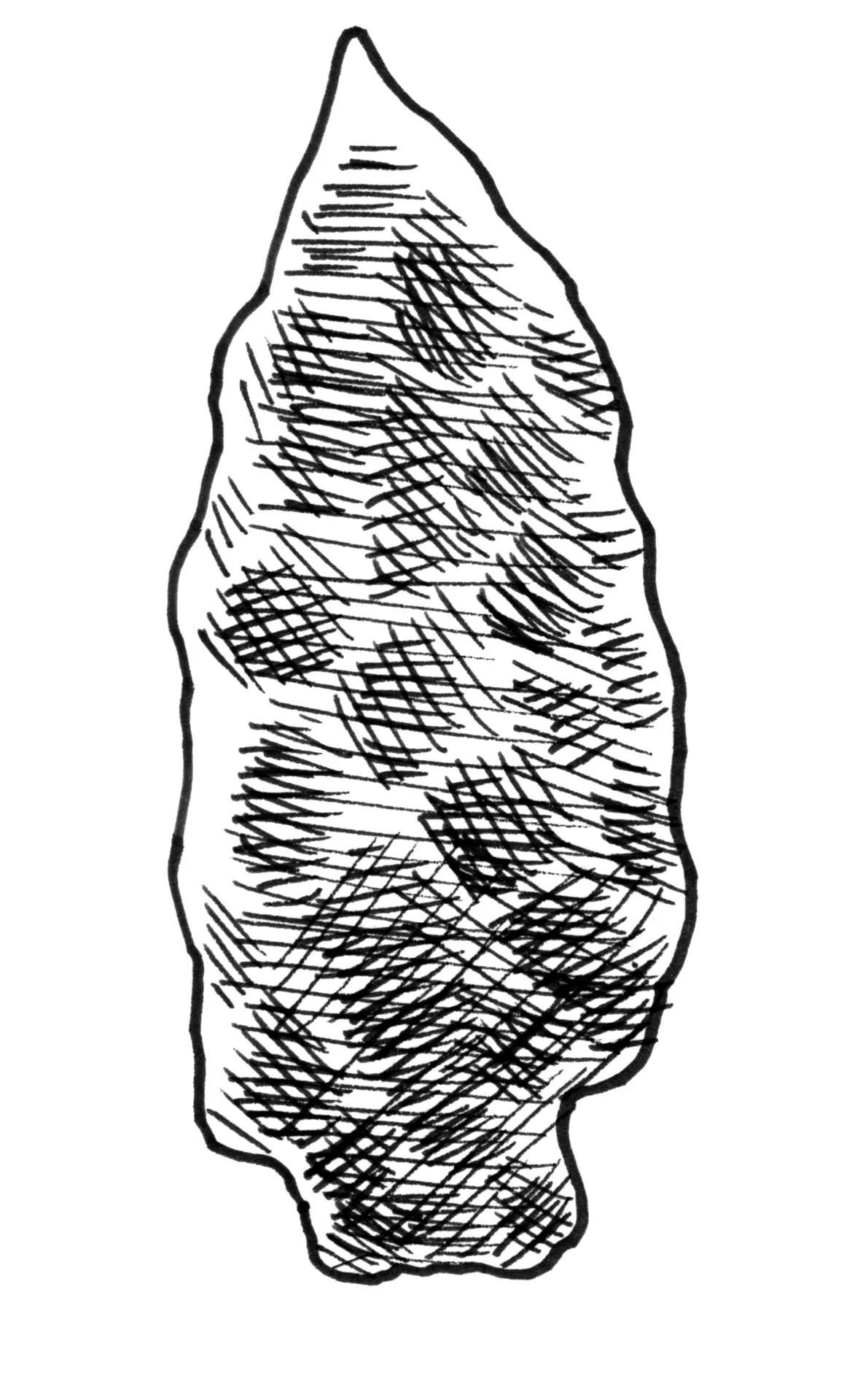 arrowheads 1.jpg