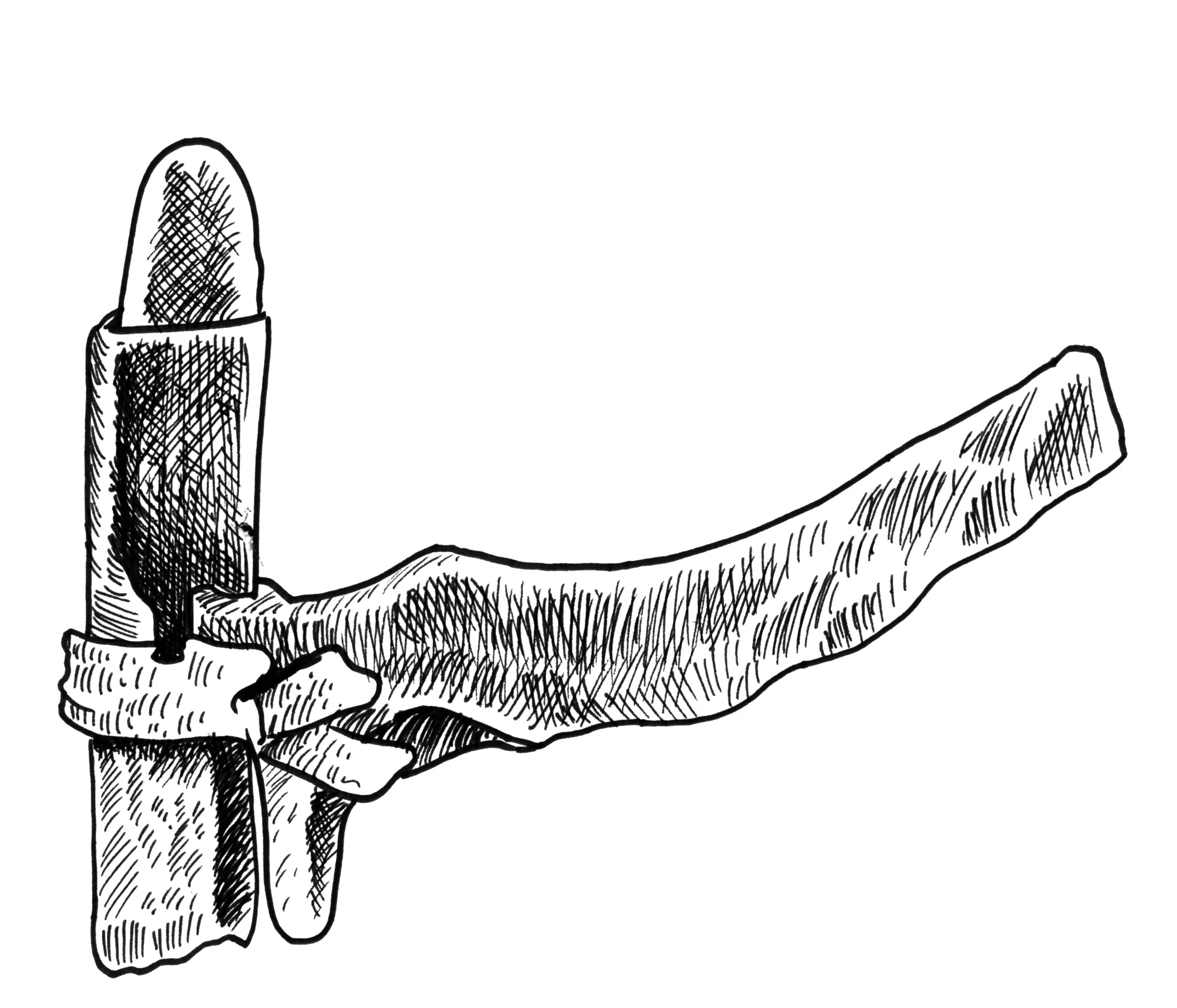 arrowheads.jpg