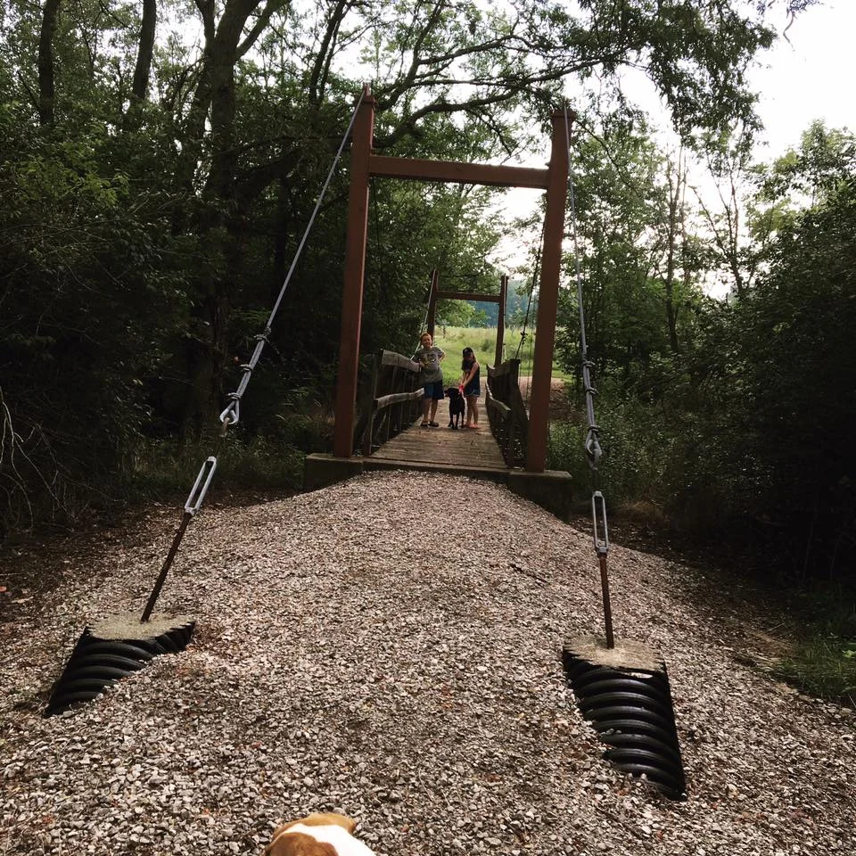 Jessica Lynch Friends creek 2.jpg