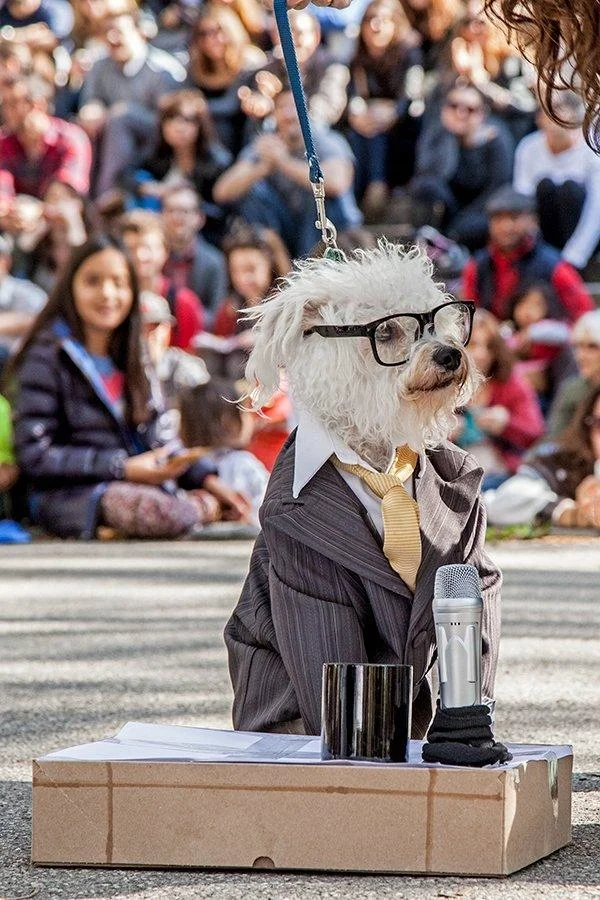 Photo from Gothamist.com