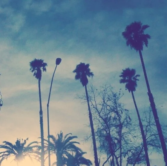 81287.original-1762.jpg