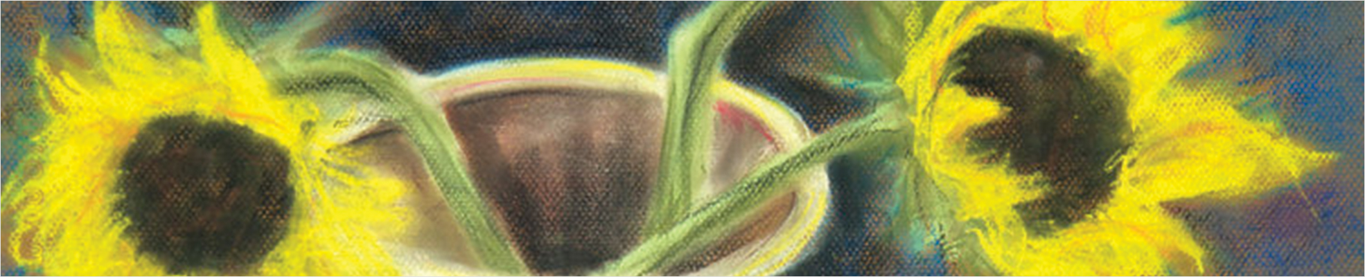 ws_header_dr2.jpg
