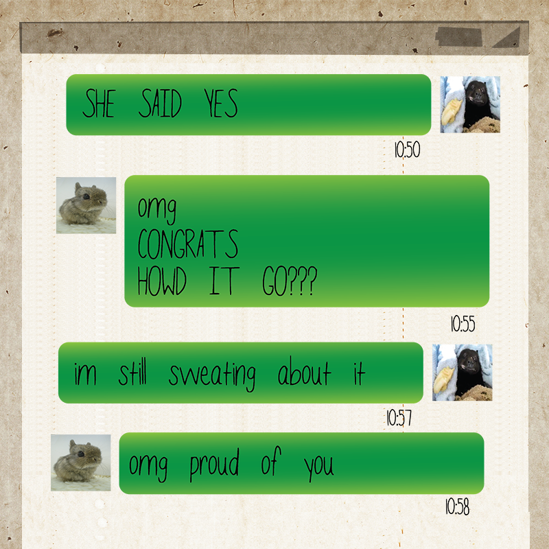chatlog02.png