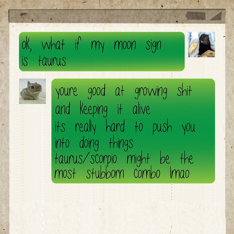 chatlog12.jpg