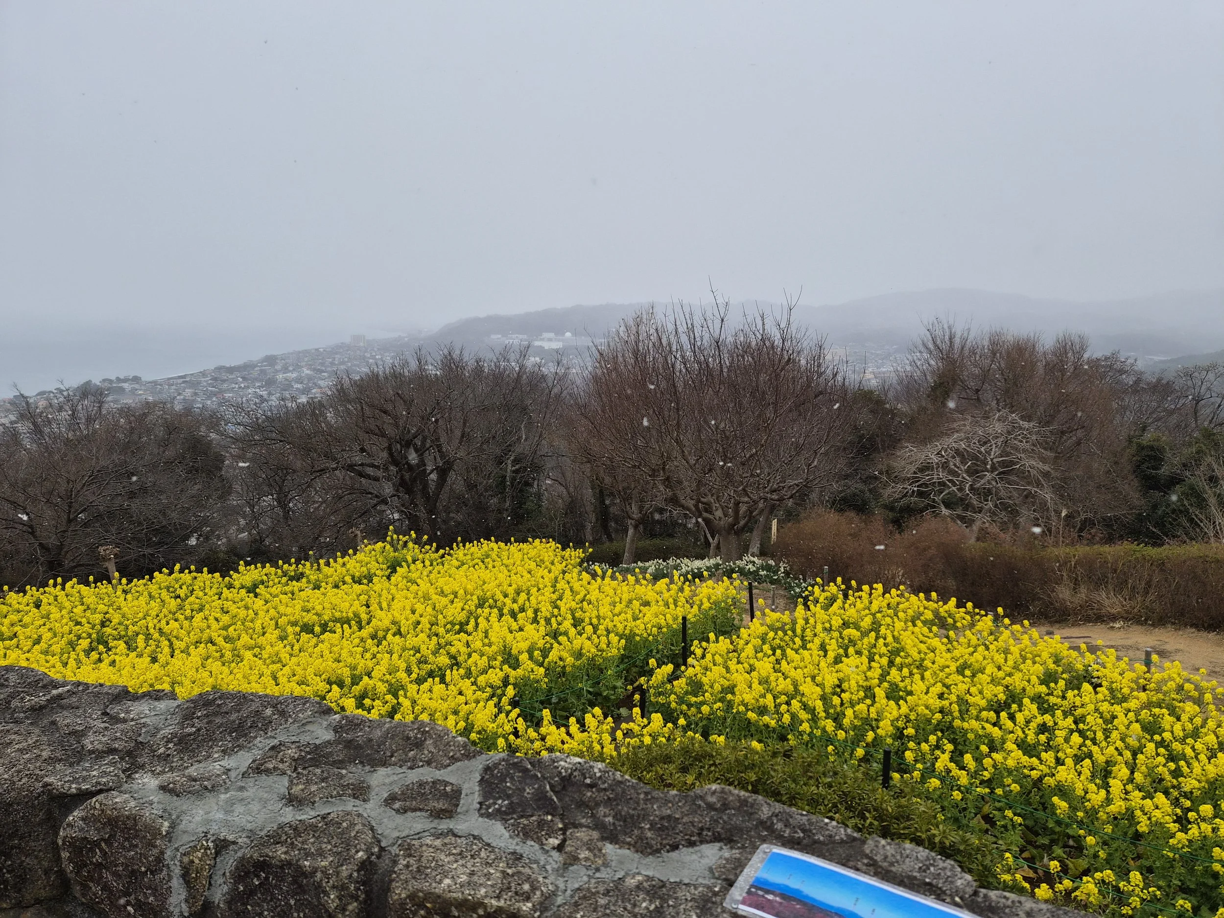 Azumayama Park in the outskirts of Tokyo 