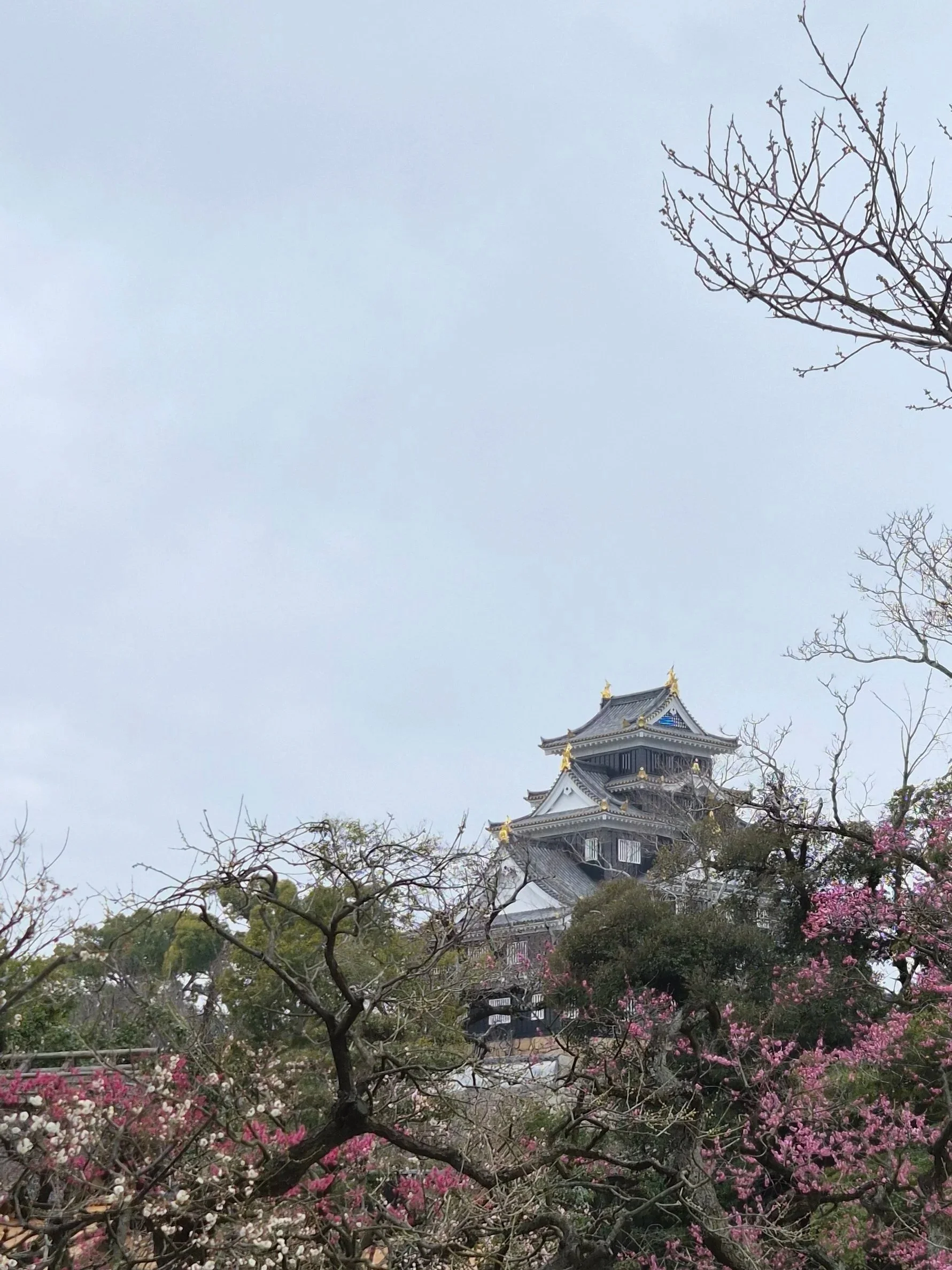  Okayama Castle from a distance 