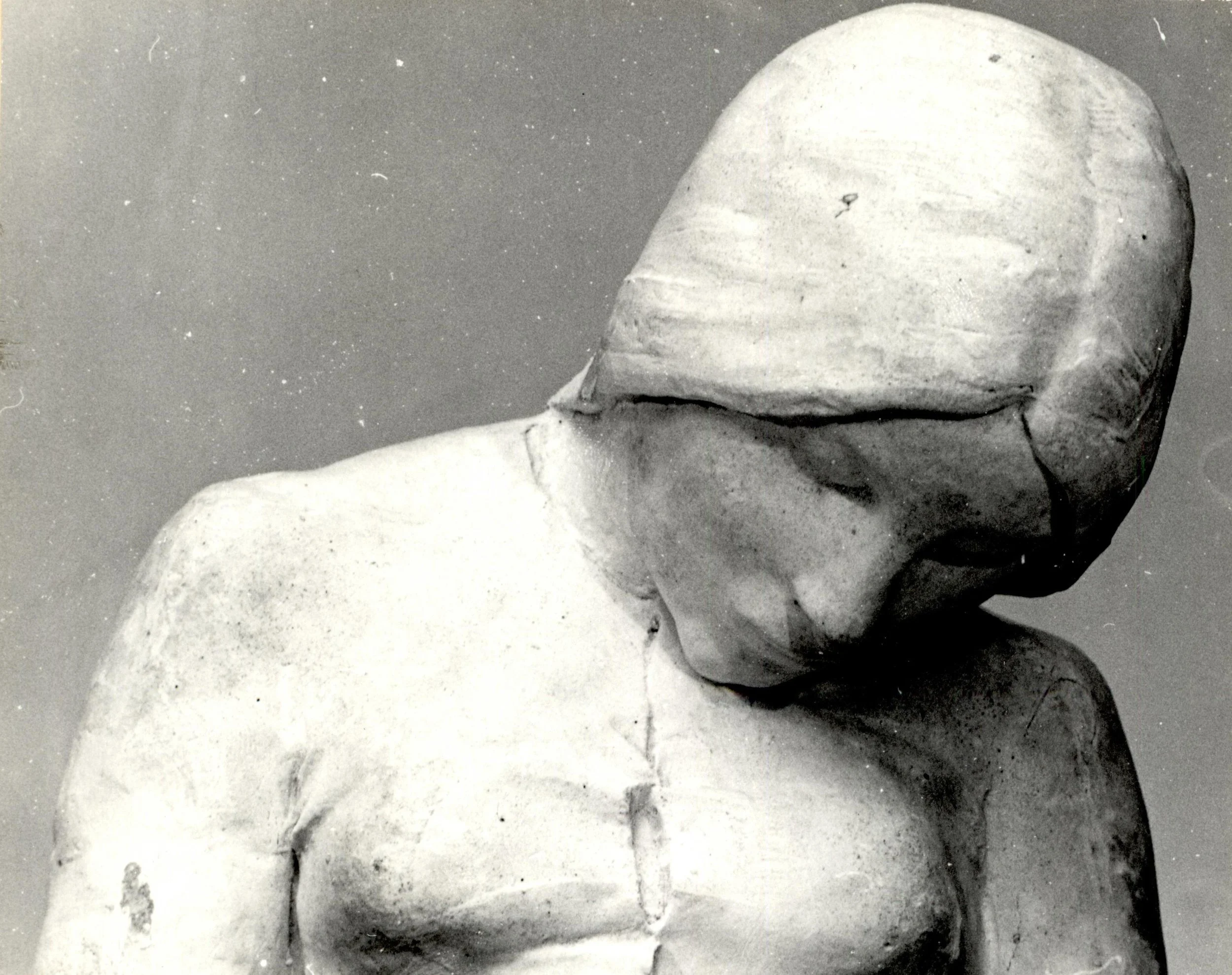 Kvinnehode_1892.jpg