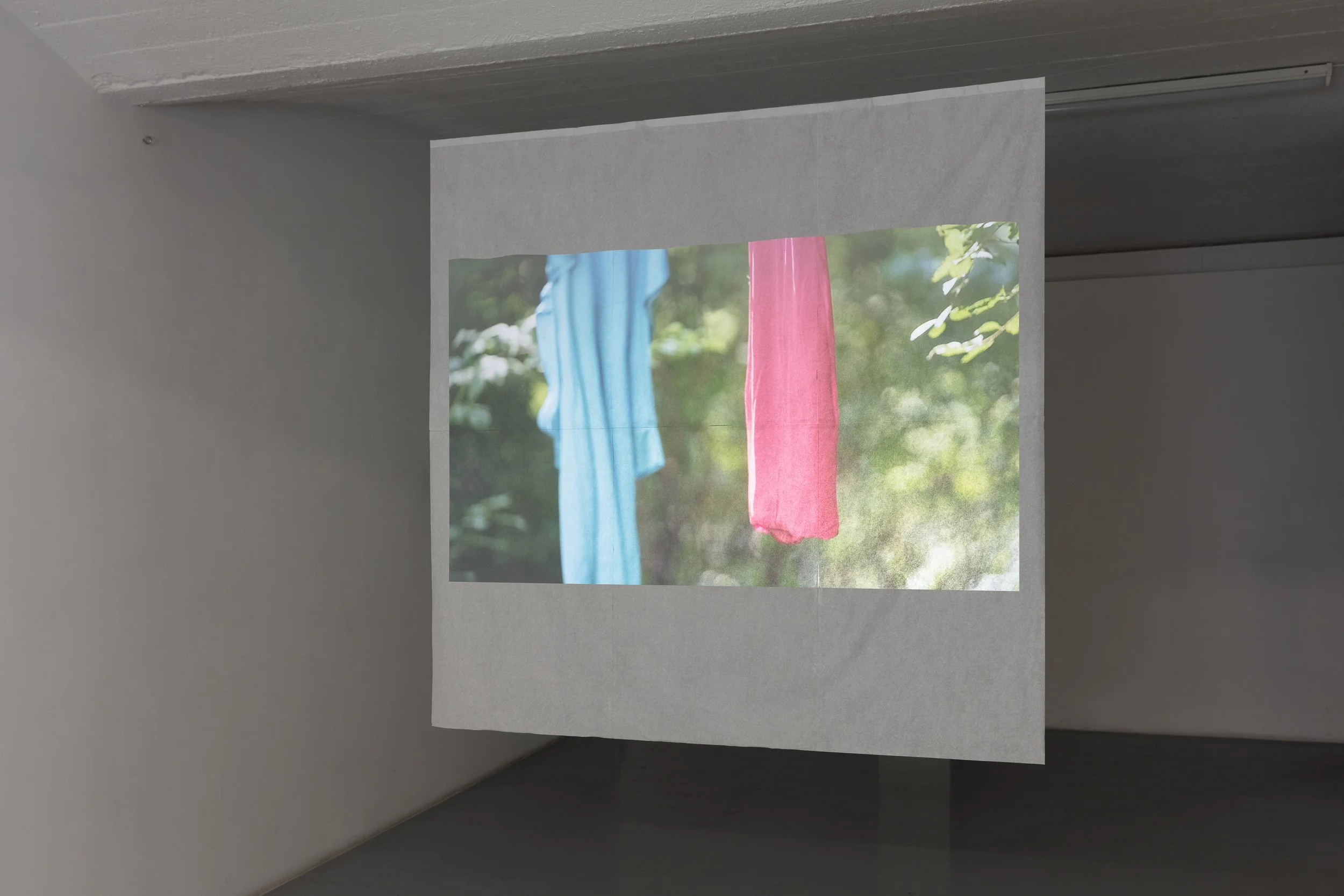 2024_09_Buer_Gallery_Charlotte_Thiis_Evensen_WebRes_11_.jpg