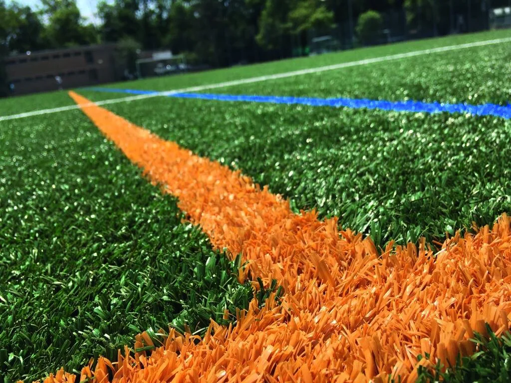 Wiederaufnahme Trainingsbetrieb
