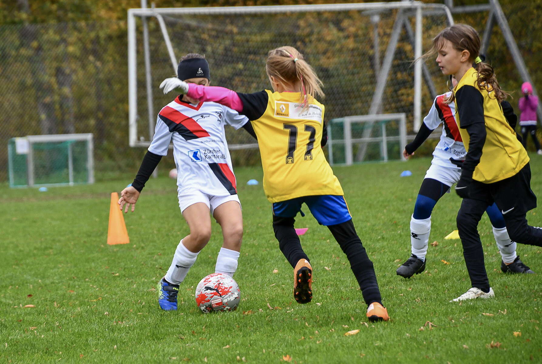 pmf_261025_10.jpg
