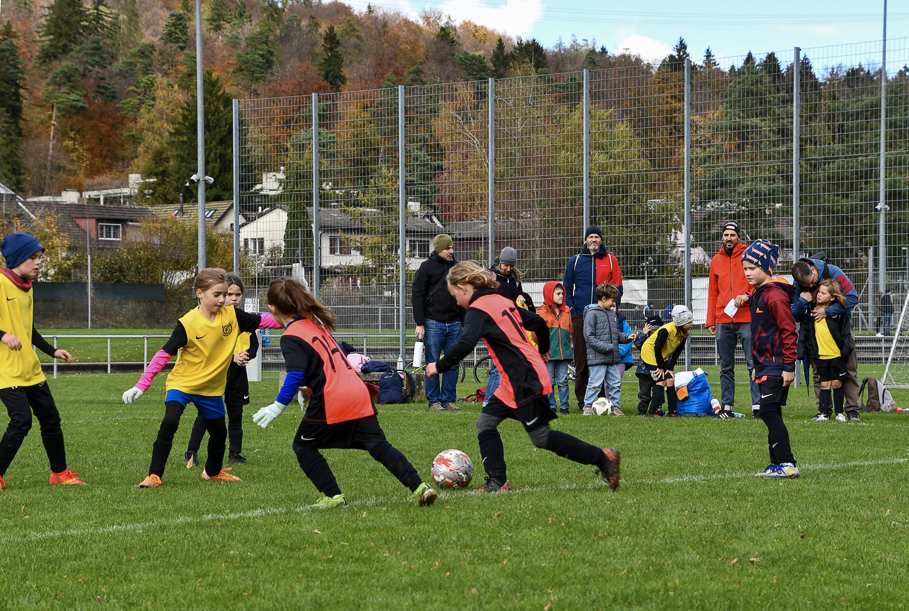pmf_261025_28.jpg