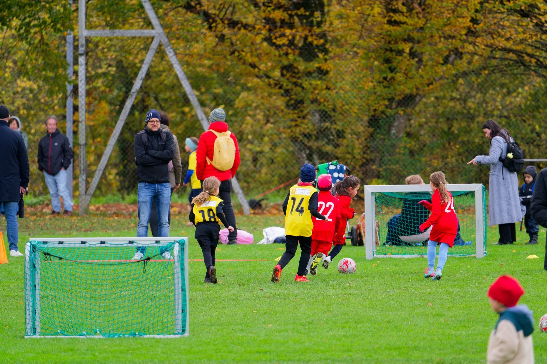 pmf_261025_57.jpg