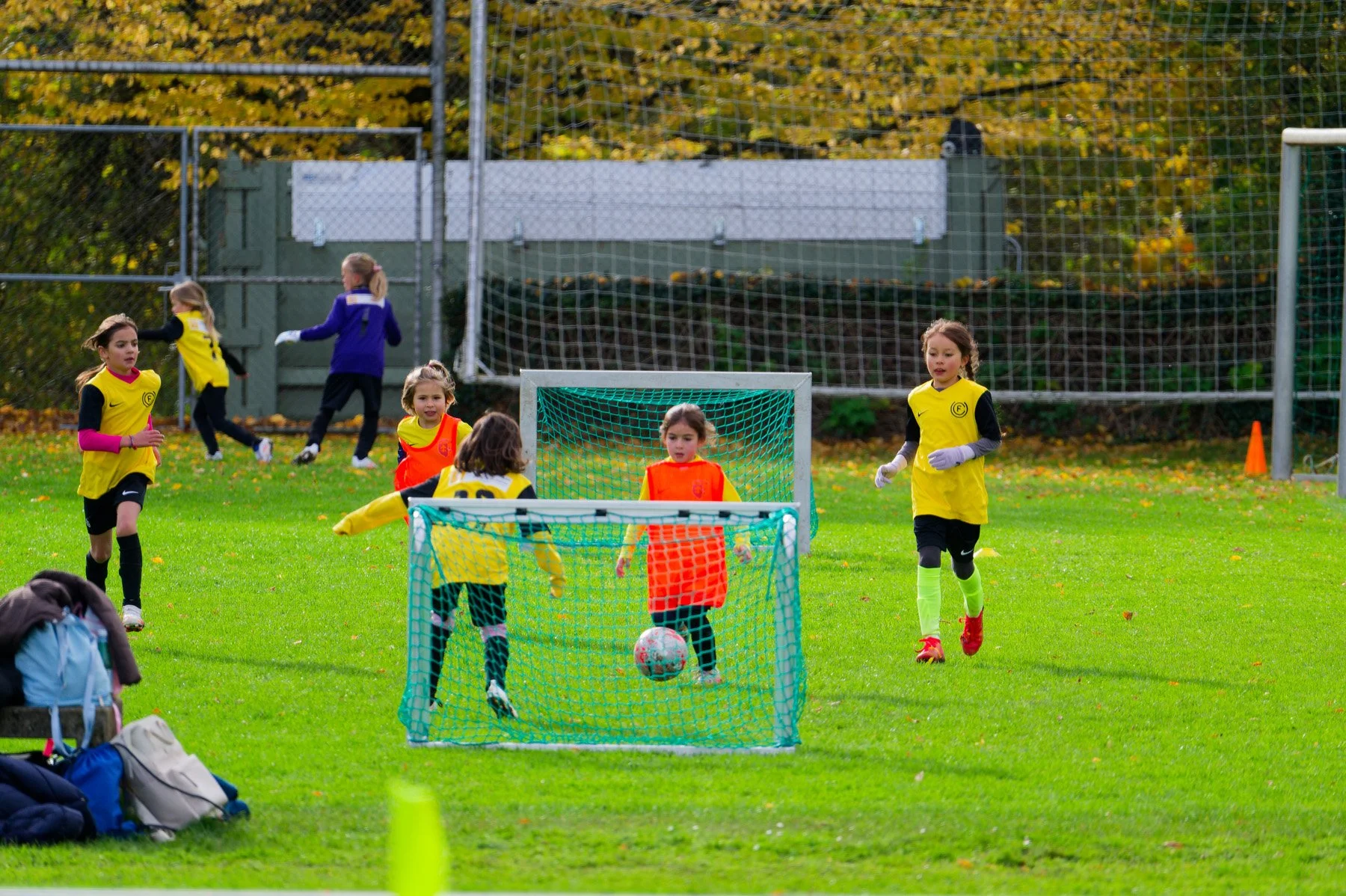 pmf_261025_65.jpg
