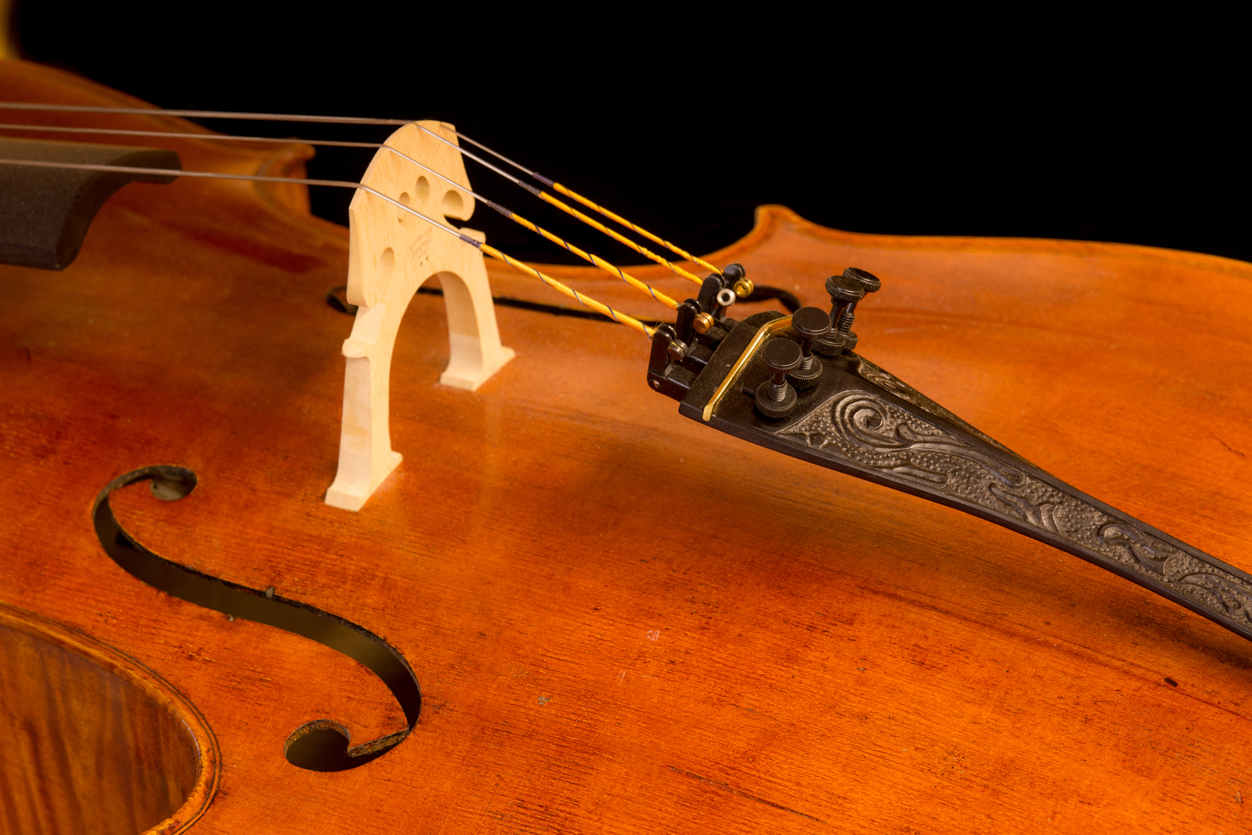 Perley Cello-43.jpg