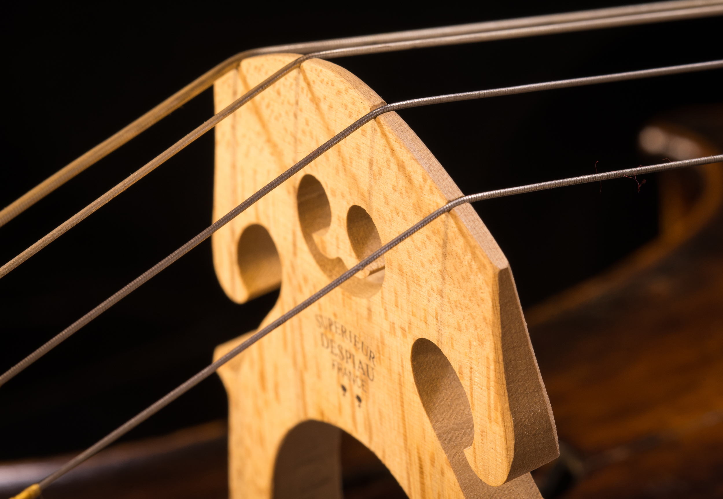 Perley Cello-38.jpg