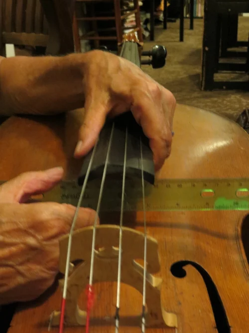 The Cellist #7 - Causes & Cures of Injuries — Paul Perley Cellos ...